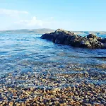 Bosi I Goli