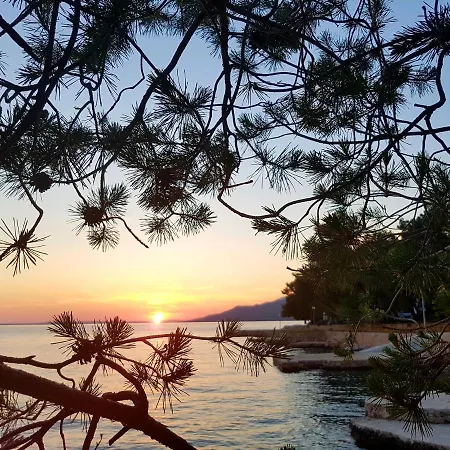 Bosi I Goli