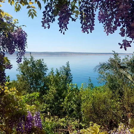Bosi I Goli Apartment *