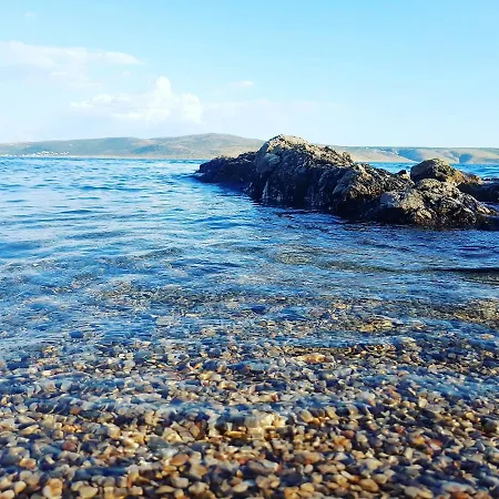 Bosi I Goli