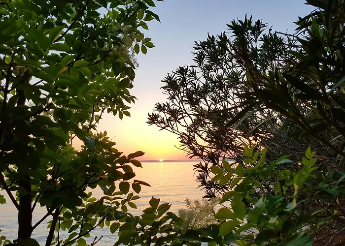 Bosi I Goli Appartement *