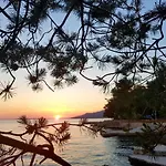 Bosi I Goli