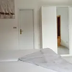 Bosi I Goli Appartement