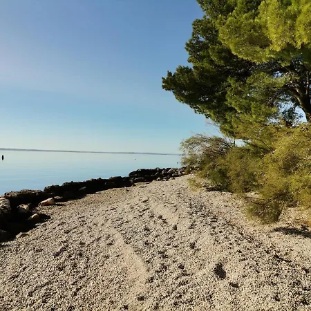 Bosi I Goli דירה *