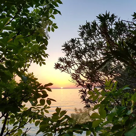 Bosi I Goli Apartmán *