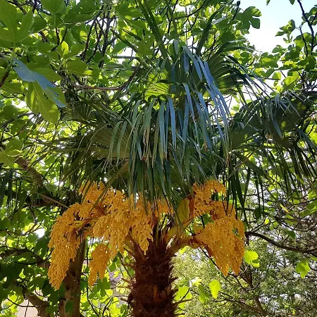 Bosi I Goli Apartmán Starigrad Paklenica