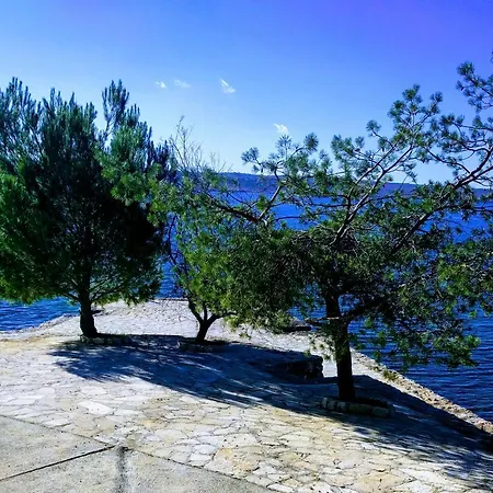 Bosi I Goli דירה