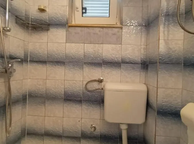 Bosi I Goli Starigrad Paklenica