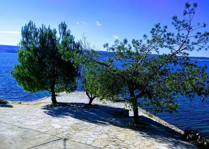 Bosi I Goli Apartamento